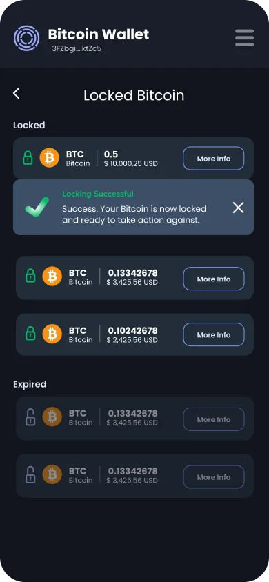 Bitcoin locked
